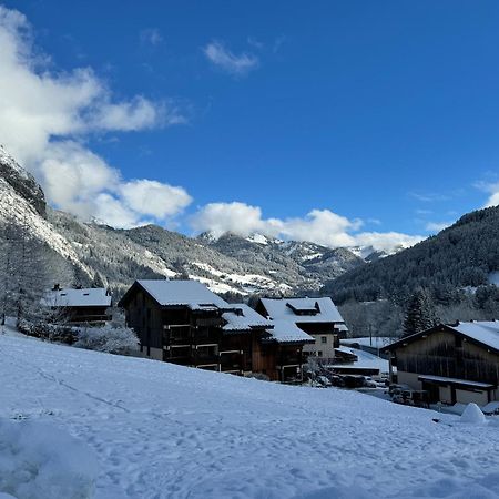 Appartement Cosy Proche Chatel Portes Du Soleil - Linge Inclus Abondance Buitenkant foto