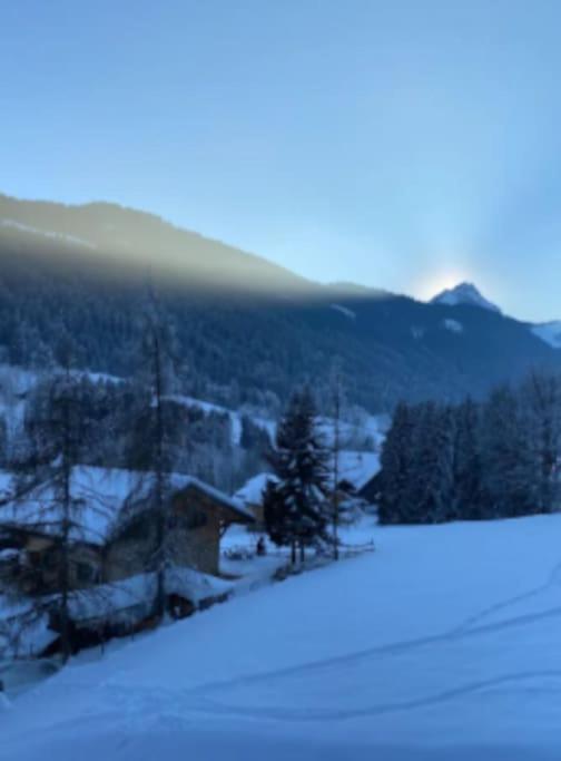 Appartement Cosy Proche Chatel Portes Du Soleil - Linge Inclus Abondance Buitenkant foto