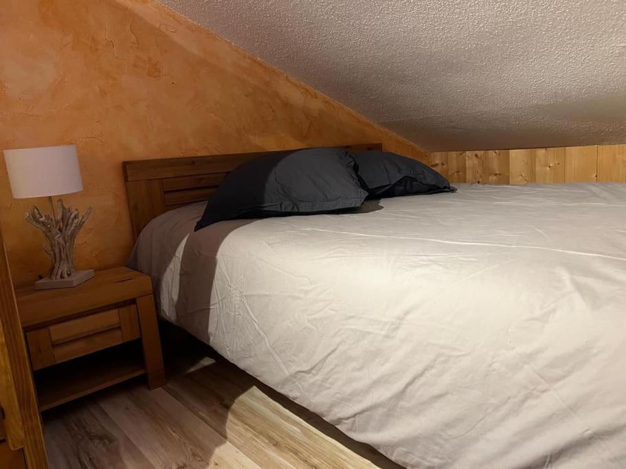Appartement Cosy Proche Chatel Portes Du Soleil - Linge Inclus Abondance Buitenkant foto